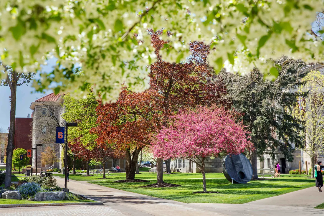 Bright trees and flowers across Syracuse University's campus.