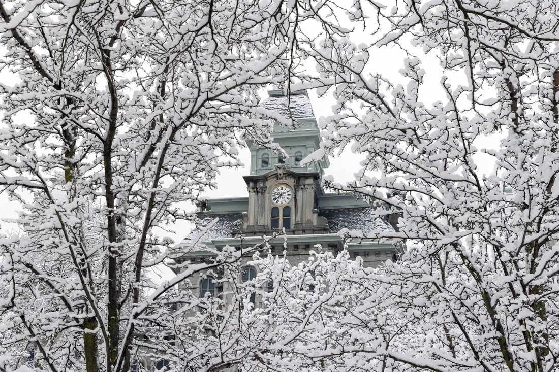 Hall of Languages through snowy trees.