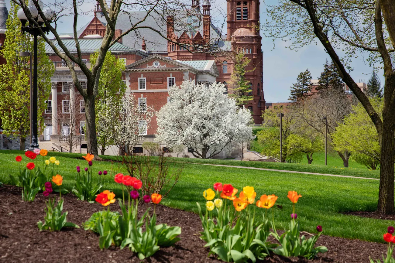 Spring flowers on campus.