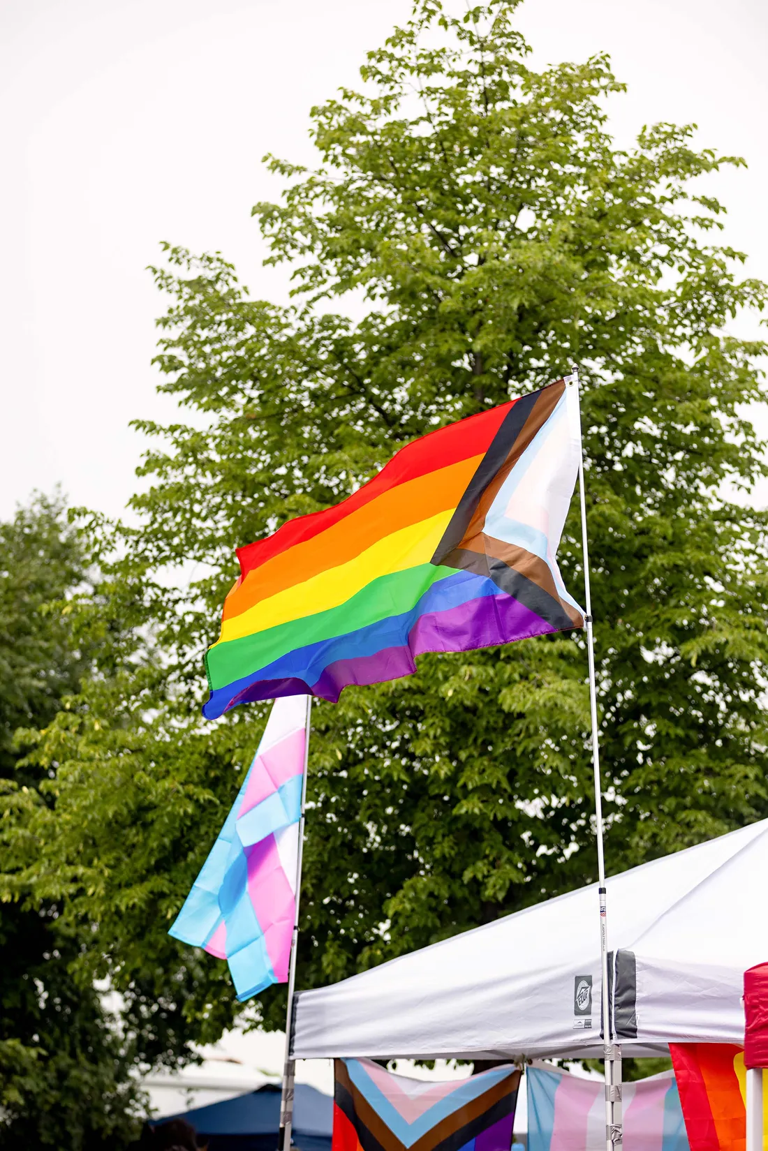 The pride flag.