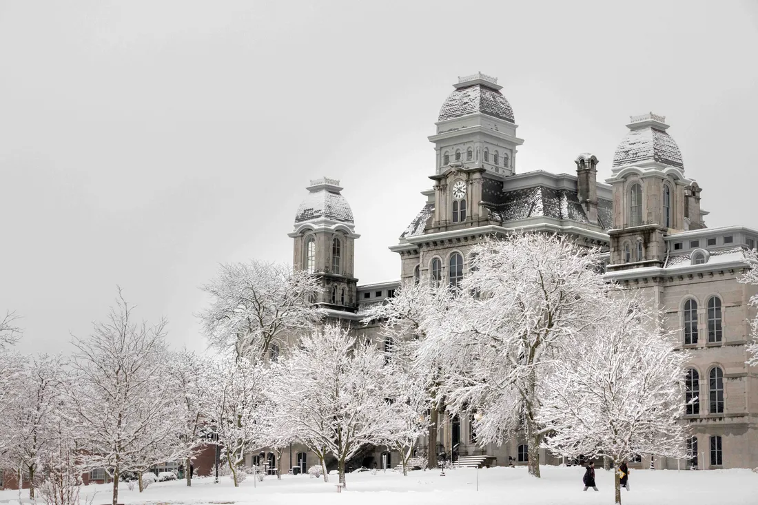 Hall of Languages with trees covered in snow.