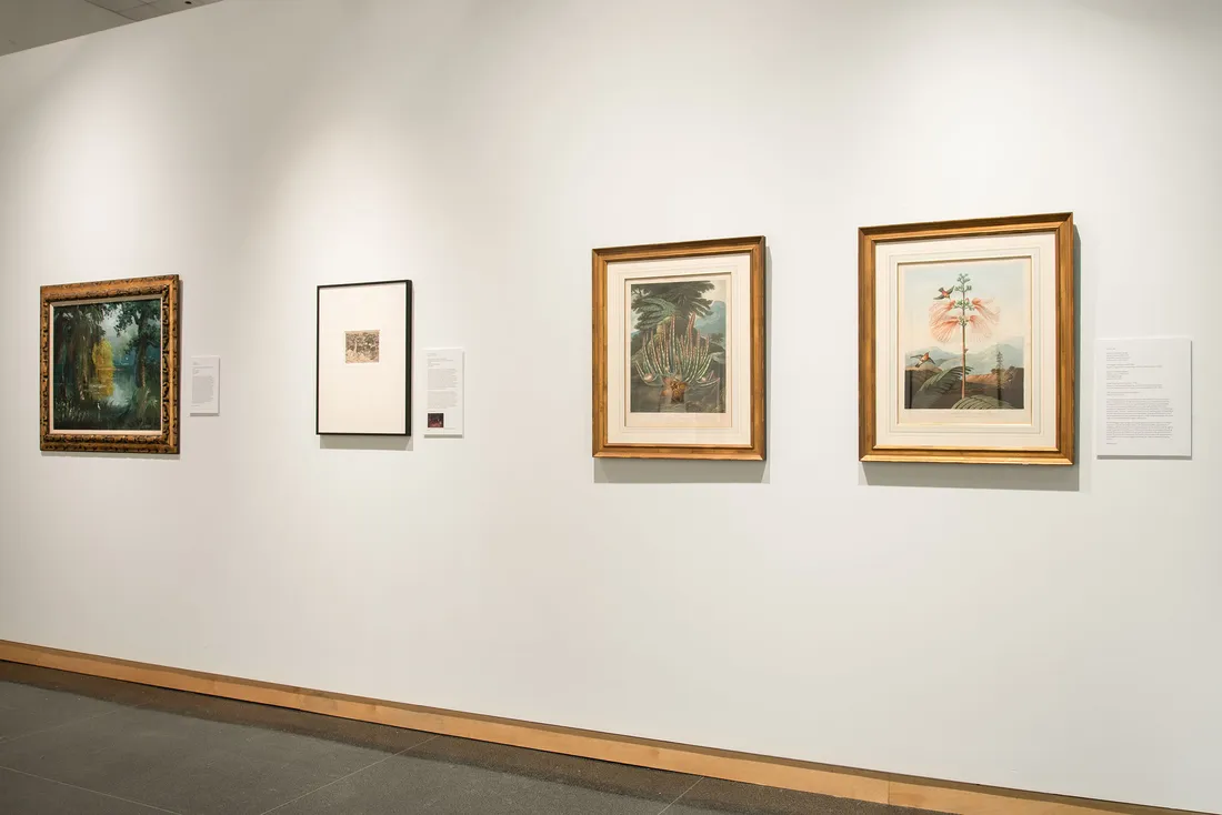 Artwork displayed against a white wall.