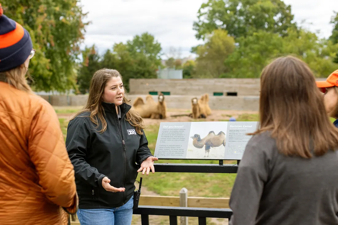 Alumni Mary Hillebrand working at the Rosamond Gifford Zoo in Syracuse, New York.