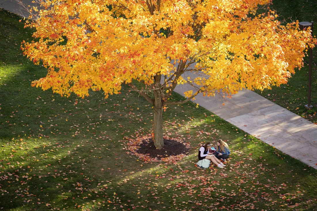 Two students sit under a tree together during the fall.