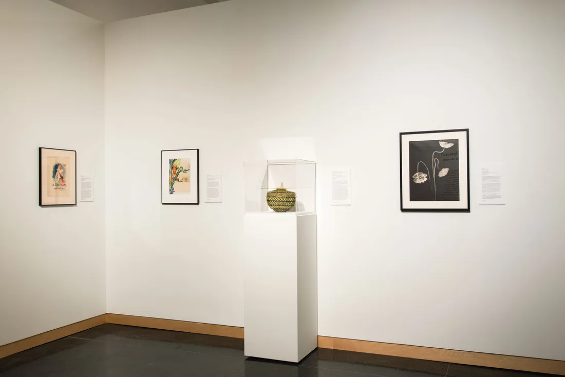 Artwork displayed against a white wall.