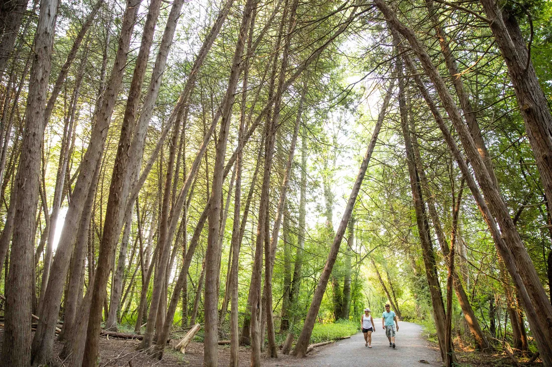 People walking on a nature trail at Green Lakes State Park.