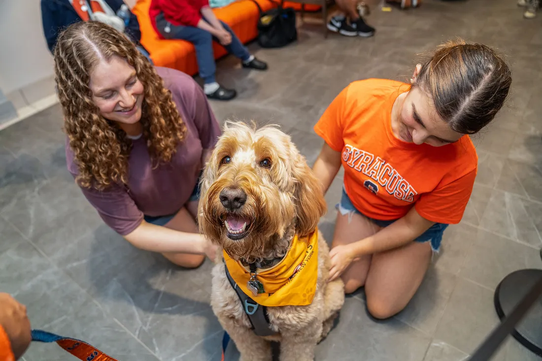 Two students pet goldendoodle dog in the Barnes Center at The Arch.