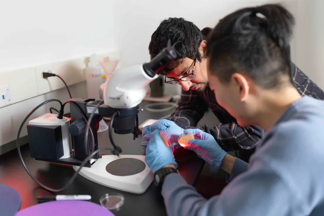 Professor Mirna Mihovilovic Skanata working with a student.