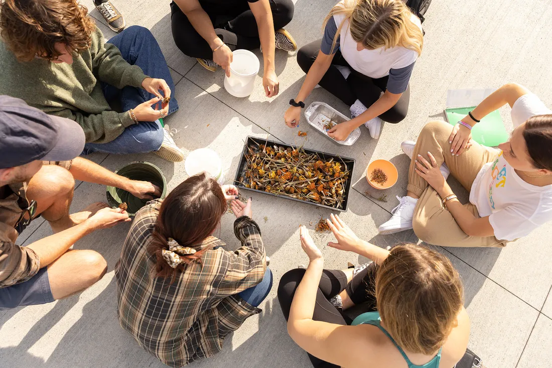 Students sit in circle with wild foraged food on a baking tray.