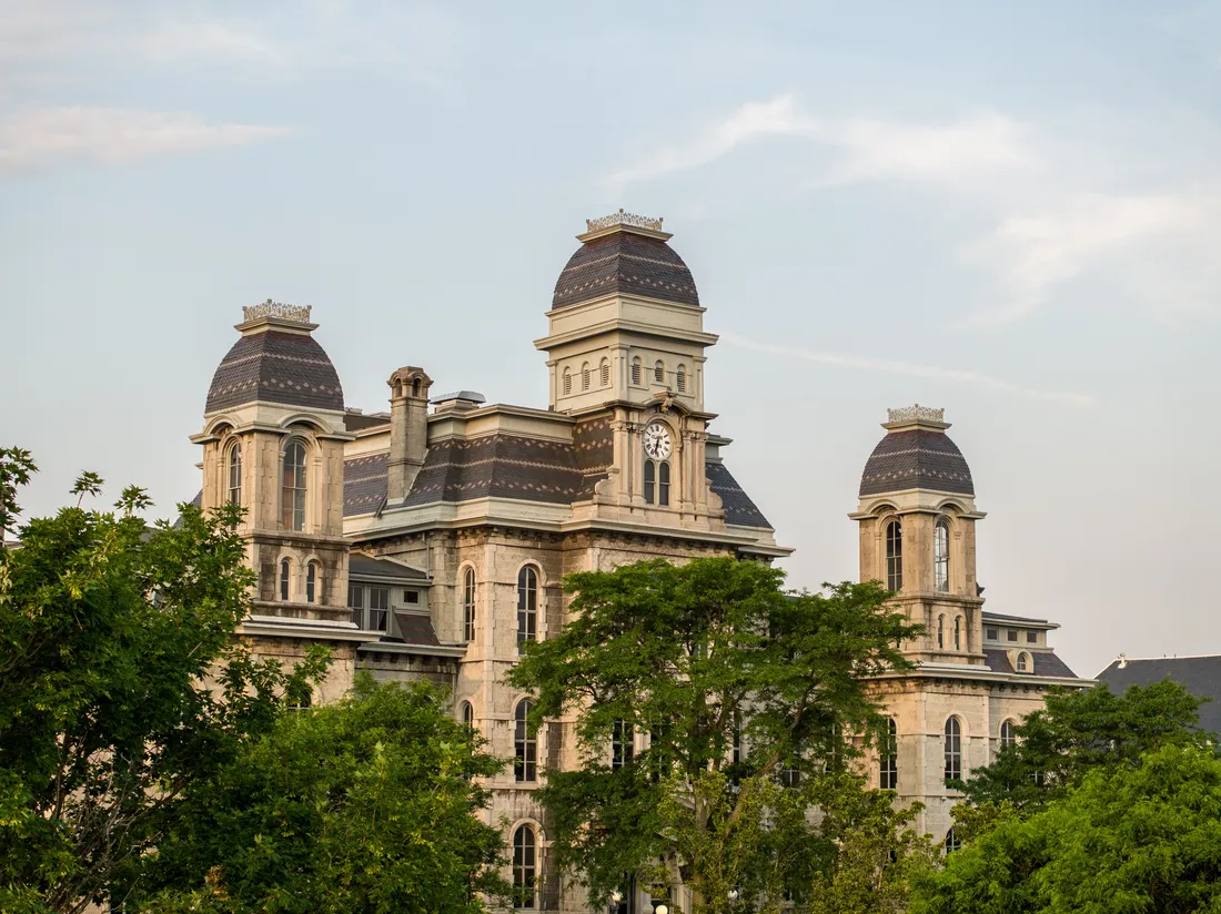 Hall of Languages with trees.